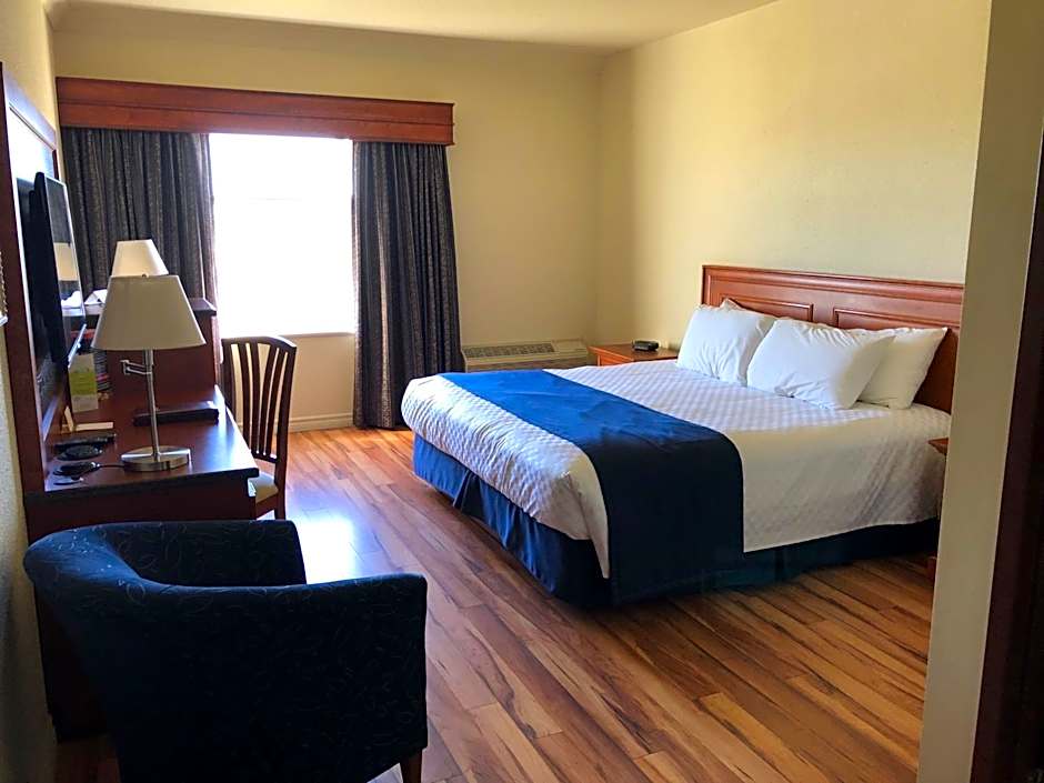 Hotel L'Oiseliere Levis