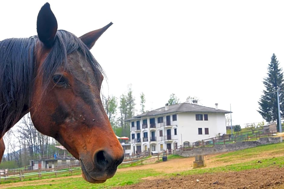 Favetto Family Ranch