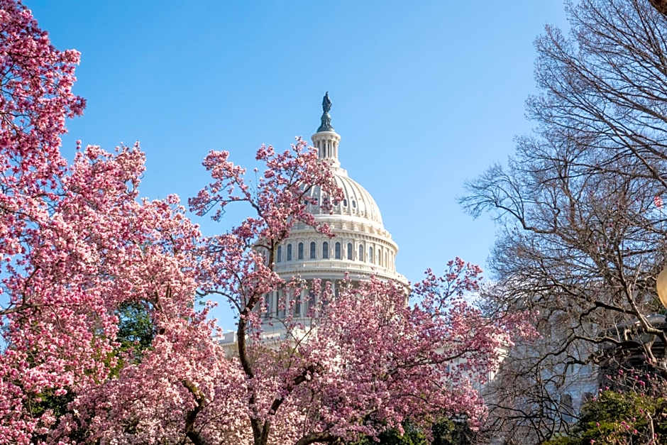 Grand Hyatt Washington