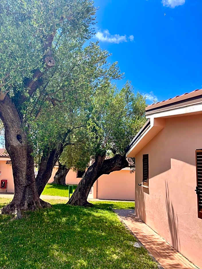 Cilento Dreams Village