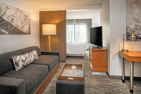 Studio, 1 King Bed with Sofa bed (1 King Bed and 1 Double Sofa Bed)