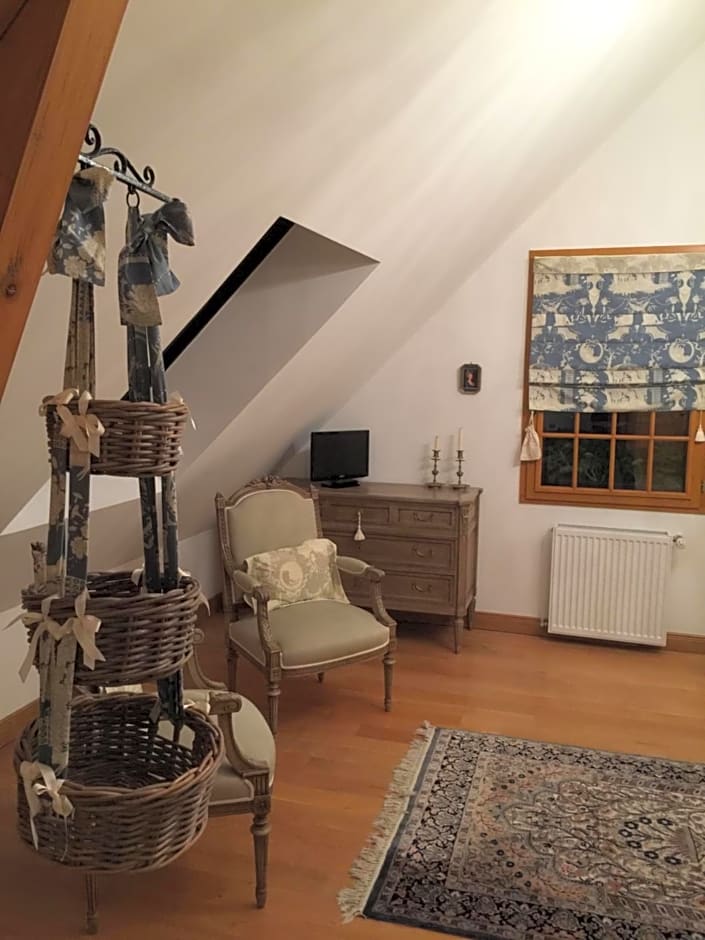 Les Prémices De La Forêt