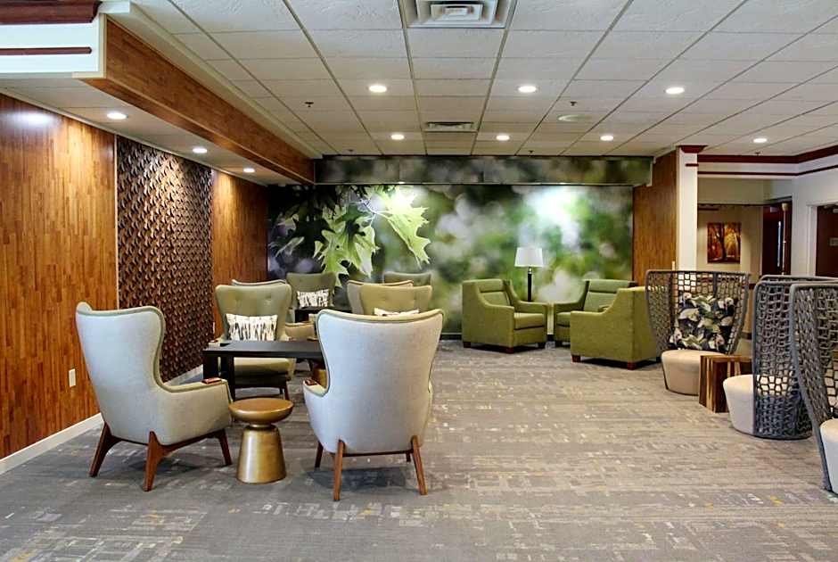 Medallion Inn and Suites
