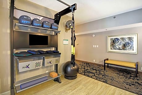 1 King Bed Fitness Suite W/Full Bay
