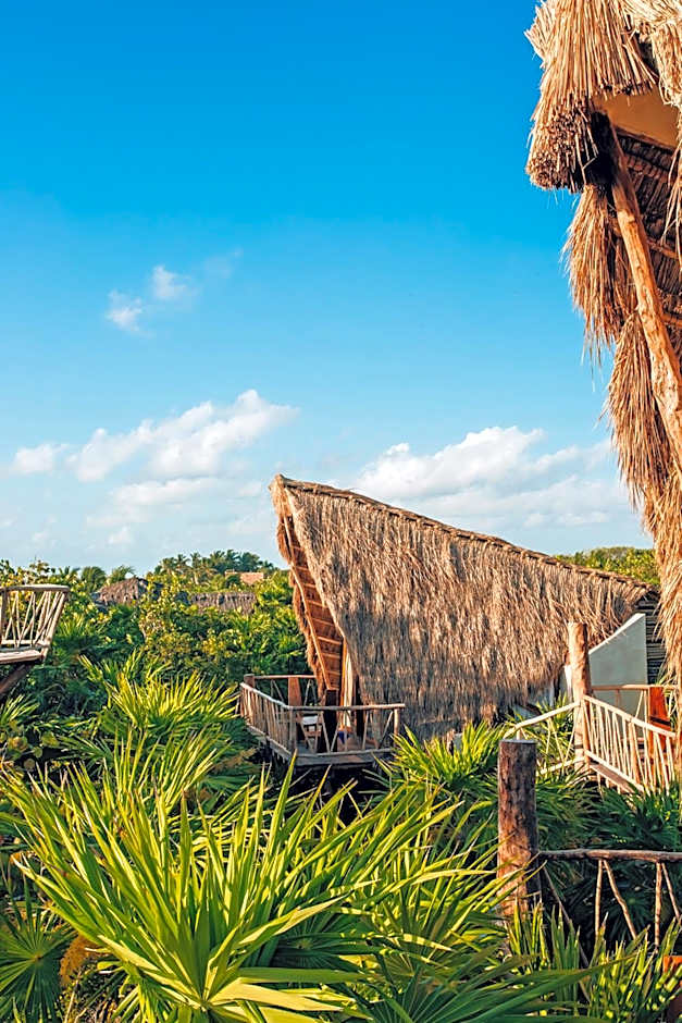 Ikal Tulum Hotel photo 31