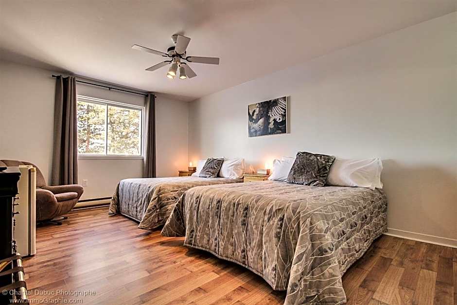 Auberge motel drakkar