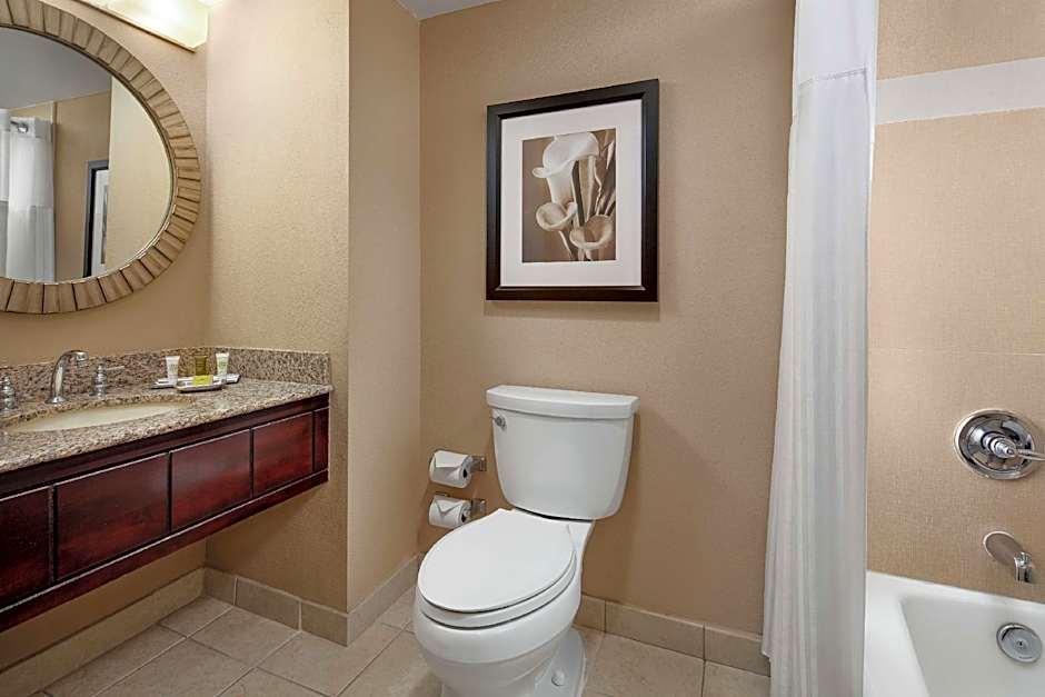 Hilton Orlando Lake Buena Vista - Disney Springs Area