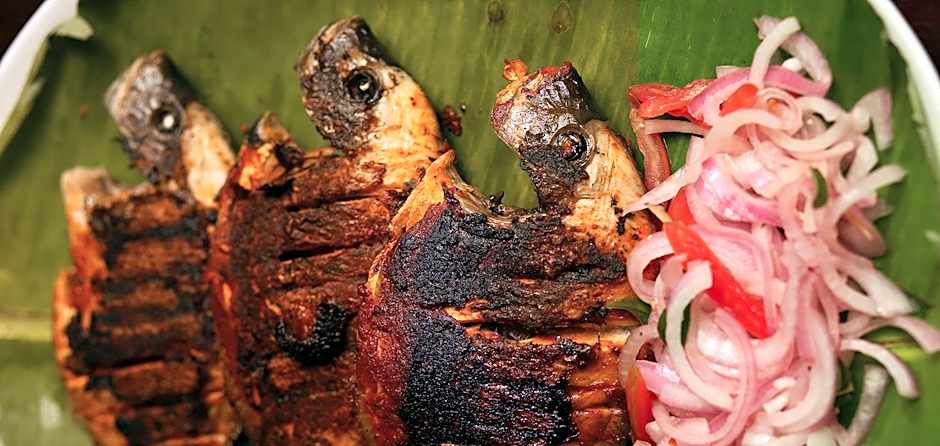 Spice Coast Cruises - Houseboat, A CGH Earth Experience