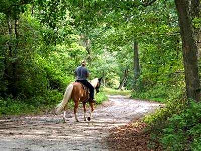 The Lodges At Gettysburg