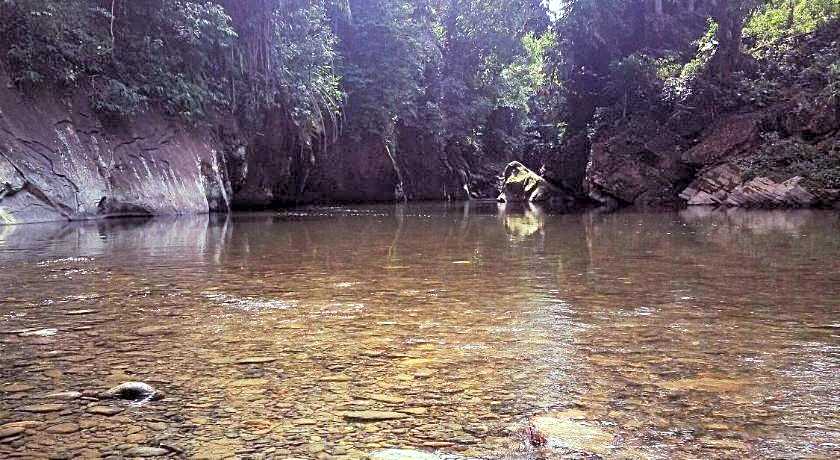 Green lodge tangkahan 