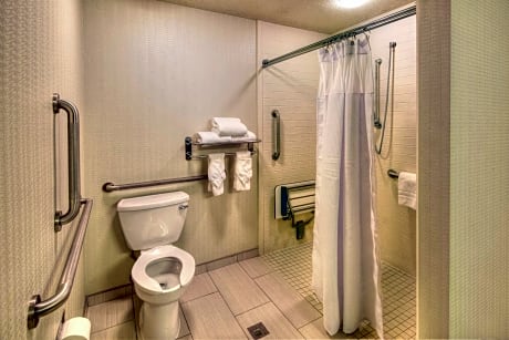 Executive King Room with Mobility Accessible Roll In Shower - Non-Smoking