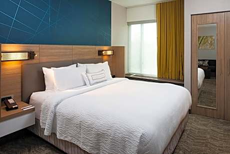 King Suite with Roll-In Shower, Transfer Shower and Trundle Sofa - Mobility Access/Hearing Accessible