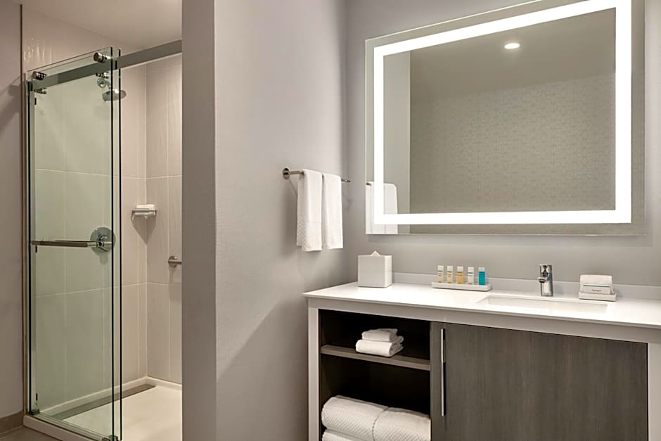 Embassy Suites by Hilton Atlanta Midtown