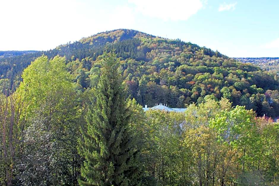 APARTMÁNY ADAM
