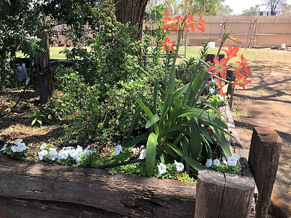 Club Boutique Hotel Cunnamulla