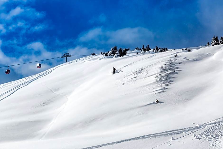 Hotel Dorfgasthof Schlösslstube