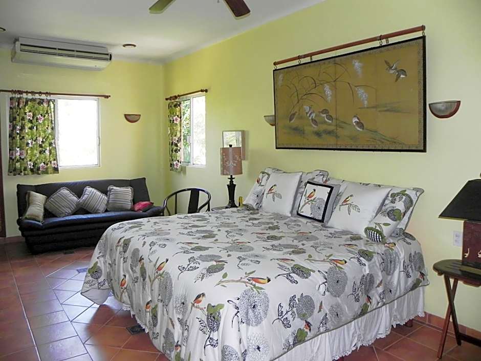 Casa Gatos
