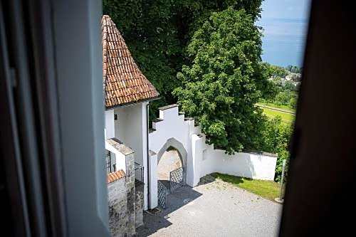 Schloss Wartensee