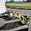 Americas Best Value Inn Kalispell