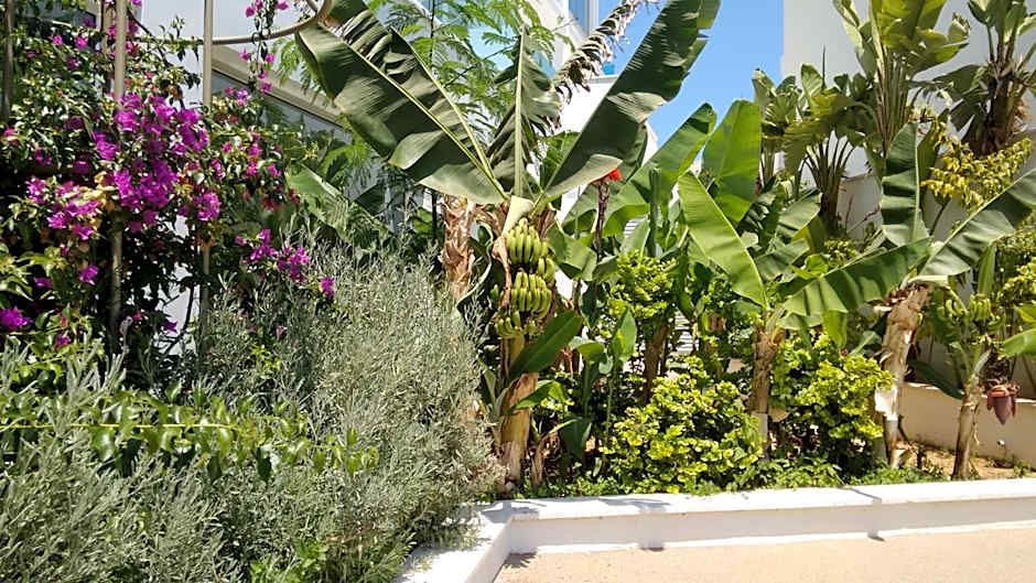 Vrissaki Beach Hotel