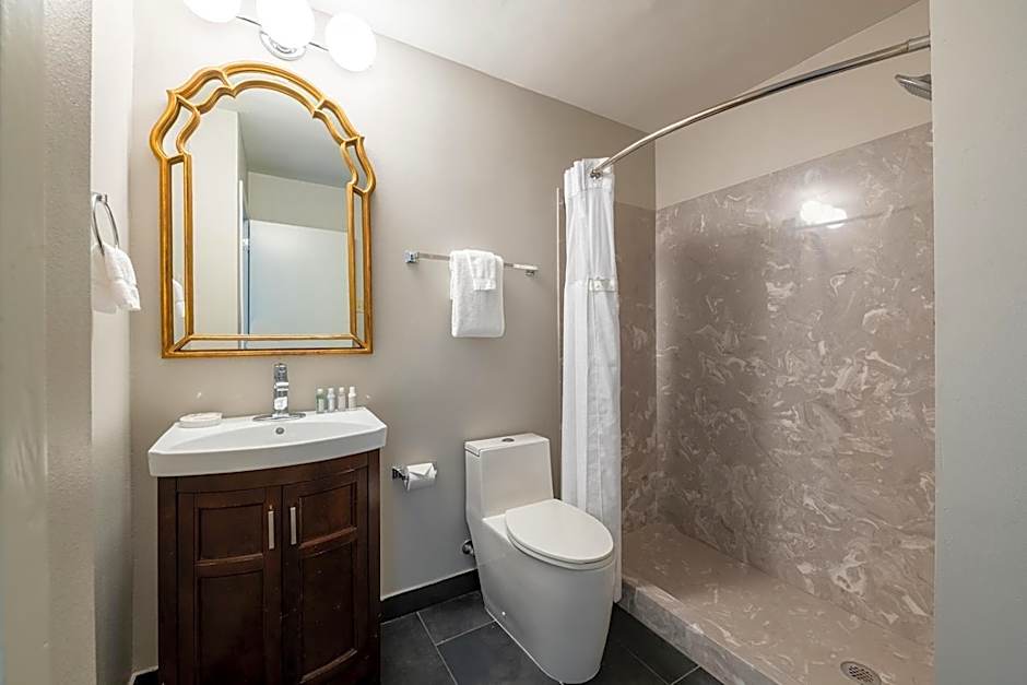 French Quarter Suites Hotel