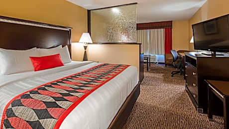 Suite - 1 King Bed, Nonsmoking, Sofabed