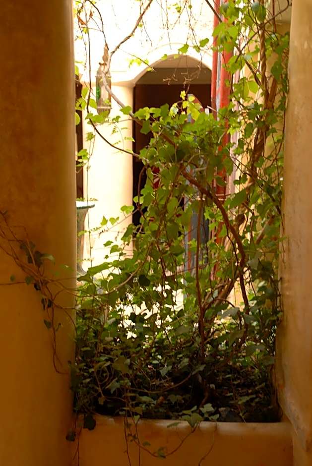 Riad Lorsya