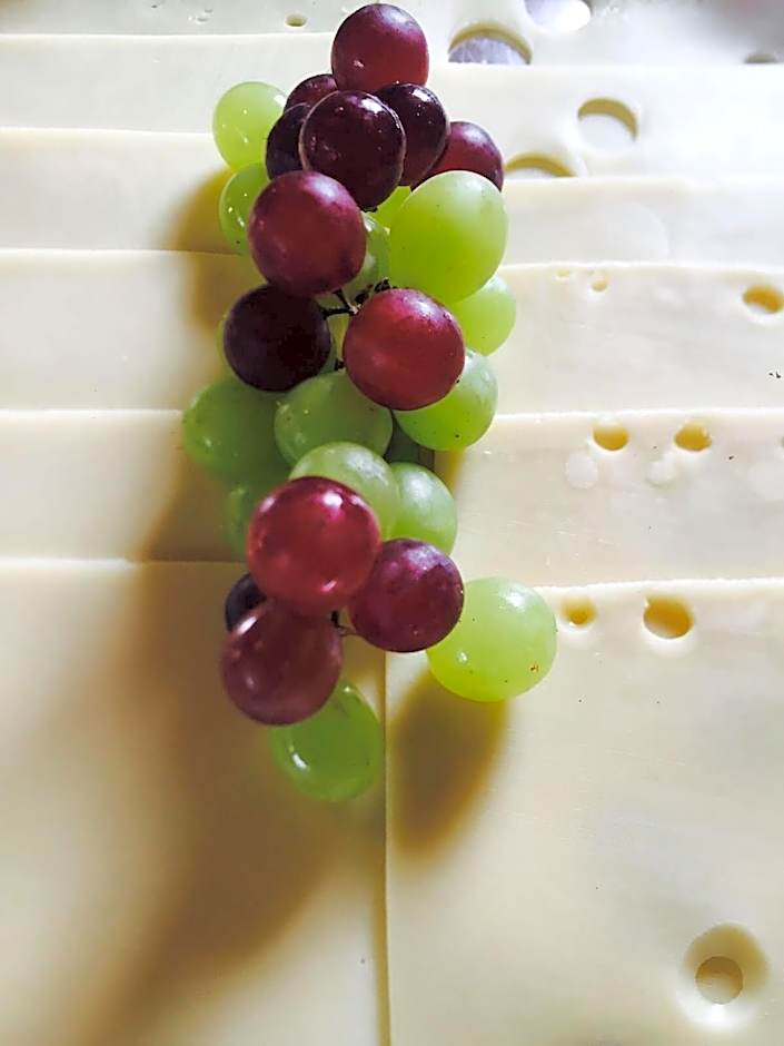 Boutiquehotel Säumler