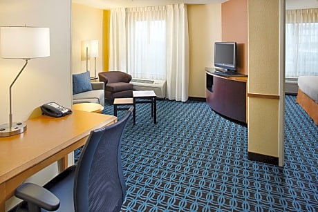 Executive Suite, 1 King Bed with Sofa bed (1 King Bed and 1 Double Sofa Bed)