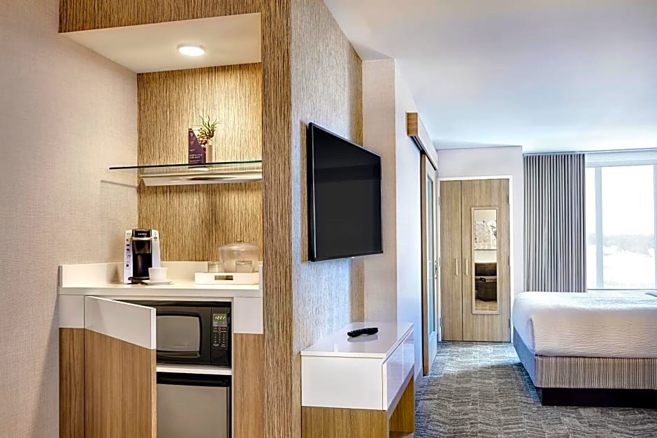 SpringHill Suites by Marriott Springfield North
