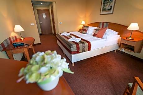 Standard Double Room with Lake View