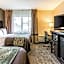 Comfort Inn Detroit Downtown