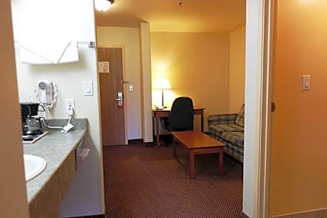 1 Queen Bed Deluxe Suite Non-Smoking