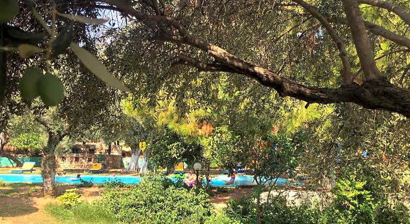 Bahar Bahce Datca