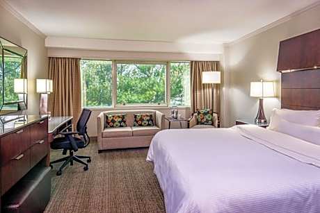 Traditional Room, Guest room, 1 King