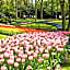 Tulip Inn Leiden Centre