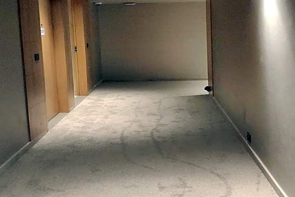 Modi Yoga Retreat - A Luxurious Yoga Retreat on the banks of Ganges