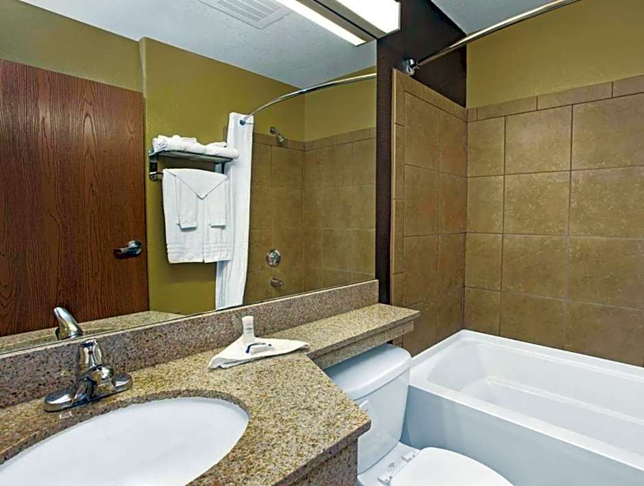Microtel Inn & Suites by Wyndham Cartersville