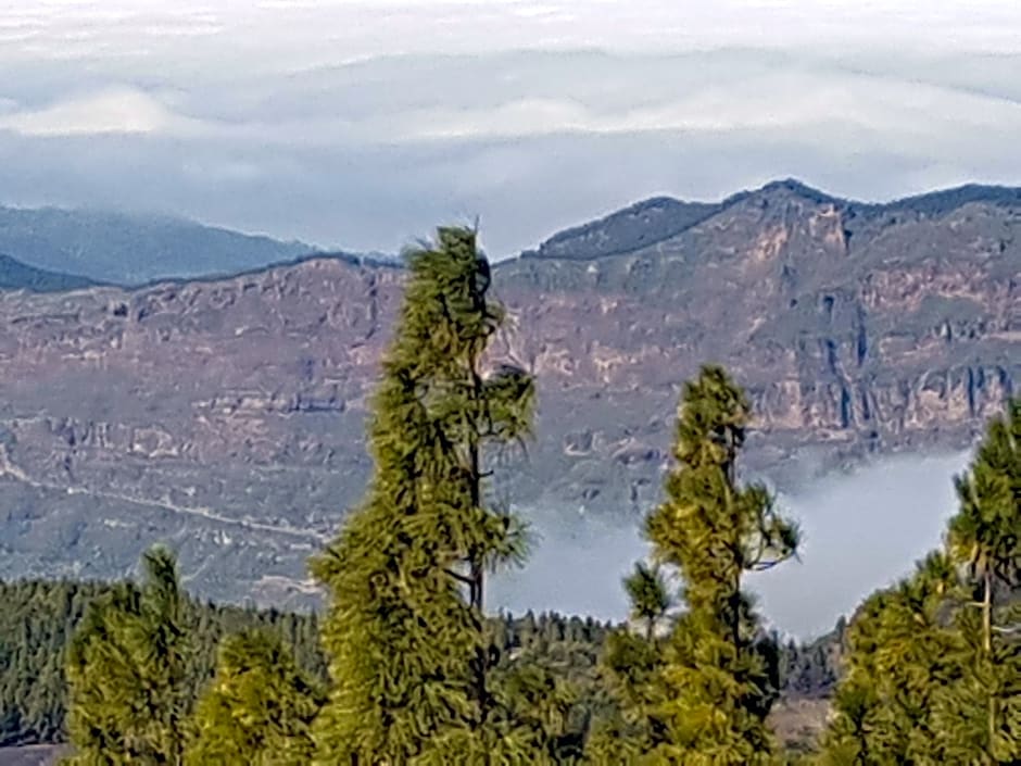 Rickaty Lodge Bed and Breakfast, Airport Hotel, Hotel de aeropuerto, Las Palmas Airport, Gran Canaria Airport, LPA, Spain