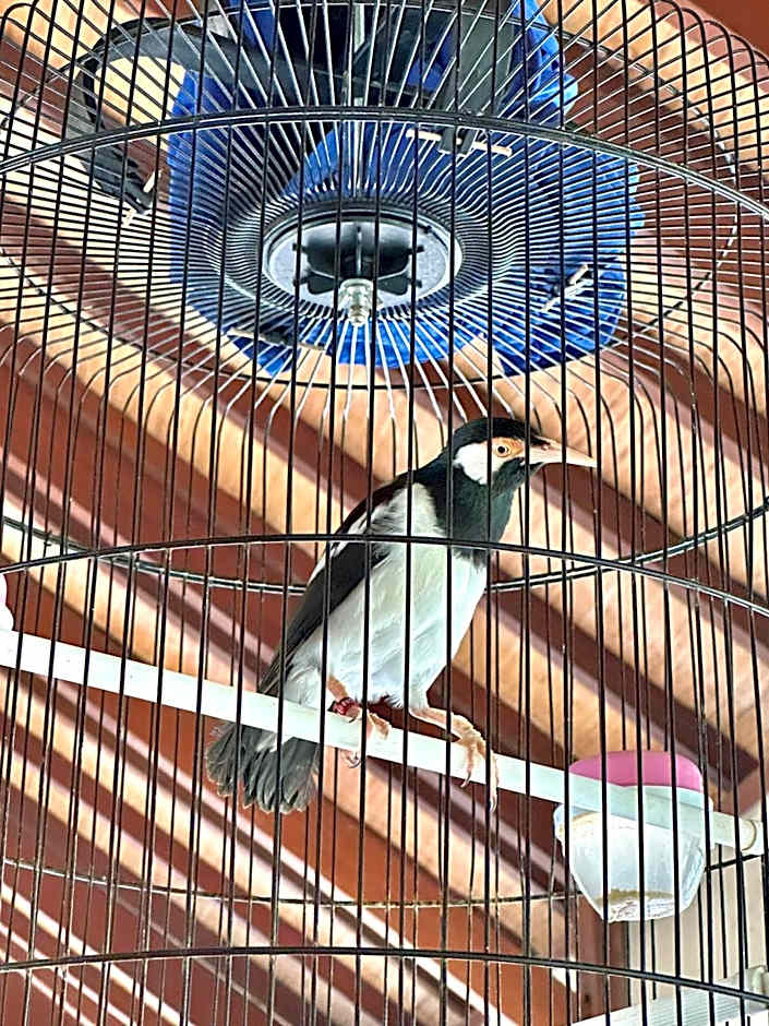 Orlowsky Discovery Candidasa Hotel