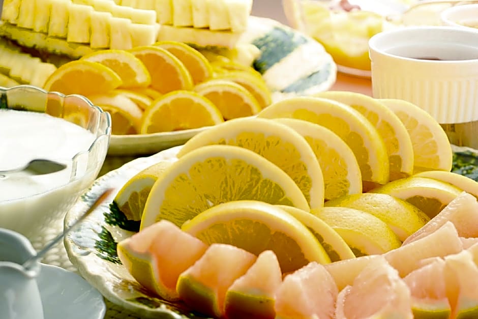 Otaru Furukawa Hotel