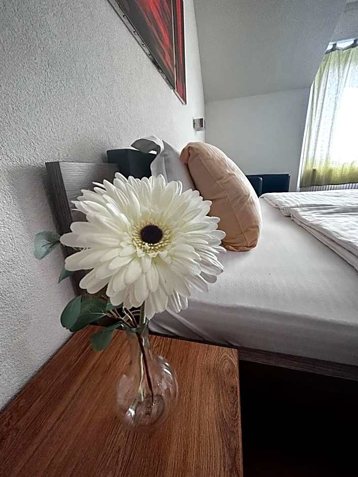 Hotel La Croix Blanche - Bassecourt