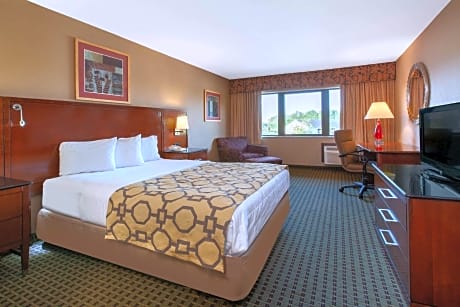 1 Queen Bed Suite Non-Smoking