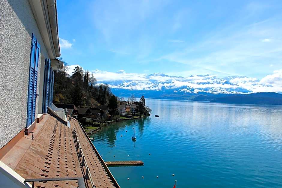 Hotel Restaurant Bellevue au Lac
