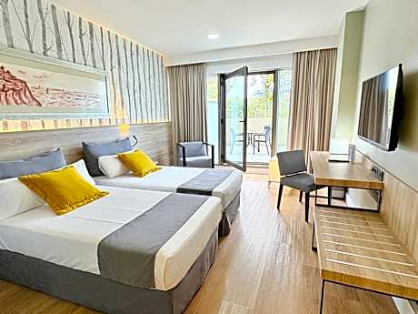 Superior Twin Room with Terrace