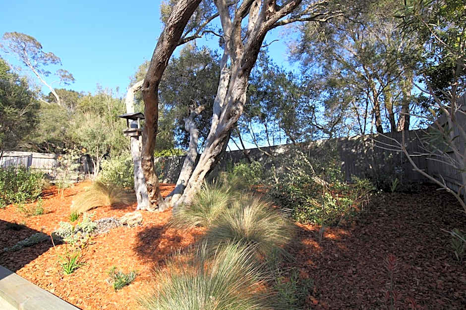 Sunny Side Up Bed and Breakfast