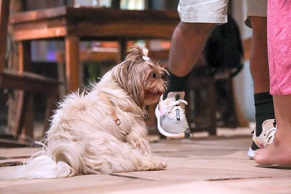 Selina Puerto Escondido