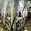Riad Elias & Spa