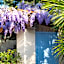 Hôtel Beau Site - Cap d'Antibes