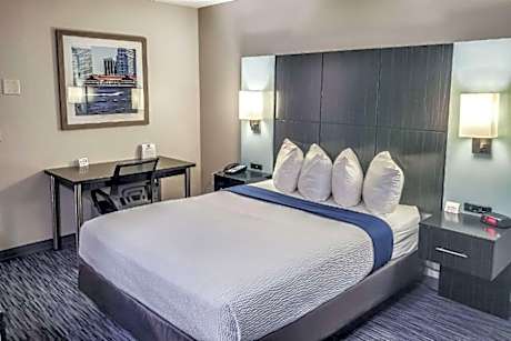 1 King Bed Nonsmoking Sofabed